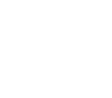 Social Innovation Tournament 2022. Winner.