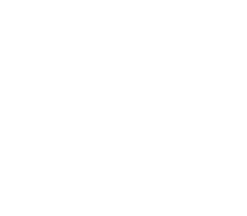 Born Global Champion Award 2023. Economic Chamber Austria. Top 15.